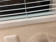 201562205458.JPG