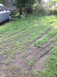 2015820165035.JPG