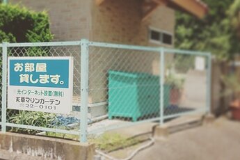 『Field survey！』のイメージ