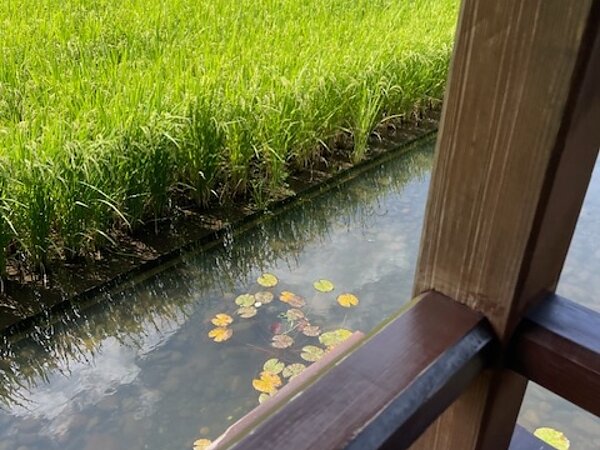 （休日　南小国）の画像